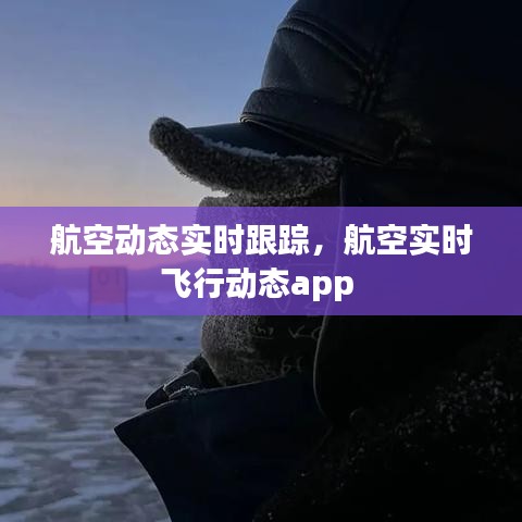 航空動(dòng)態(tài)實(shí)時(shí)跟蹤，航空實(shí)時(shí)飛行動(dòng)態(tài)app 