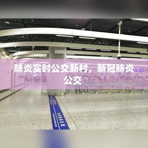 肺炎實時公交新村，新冠肺炎公交 