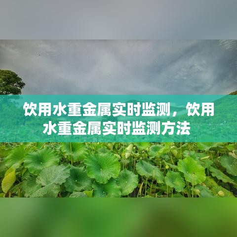 飲用水重金屬實時監(jiān)測，飲用水重金屬實時監(jiān)測方法 