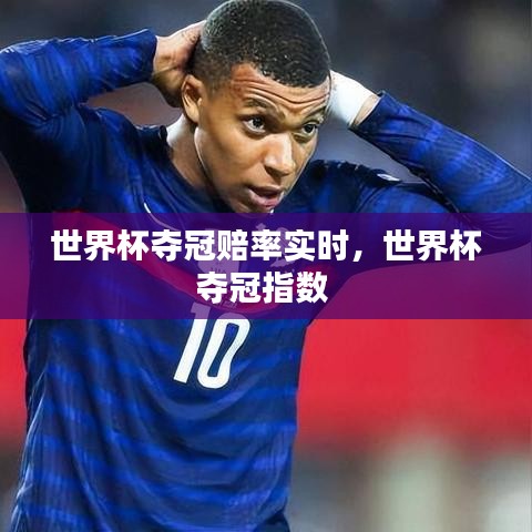 世界杯奪冠賠率實(shí)時(shí)，世界杯奪冠指數(shù) 