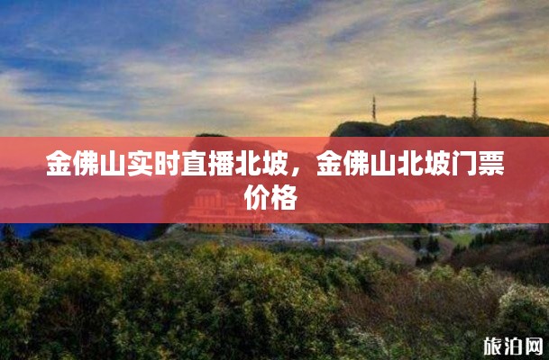 金佛山實時直播北坡，金佛山北坡門票價格 