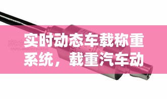 實(shí)時(shí)動(dòng)態(tài)車載稱重系統(tǒng)，載重汽車動(dòng)態(tài)稱重系統(tǒng) 