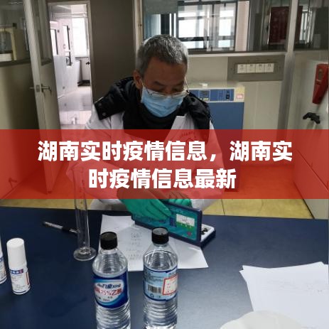 湖南實(shí)時疫情信息，湖南實(shí)時疫情信息最新 