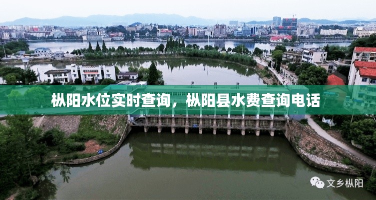樅陽(yáng)水位實(shí)時(shí)查詢，樅陽(yáng)縣水費(fèi)查詢電話 