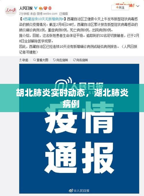 產(chǎn)品展示 第152頁