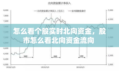 怎么看個(gè)股實(shí)時(shí)北向資金，股市怎么看北向資金流向 