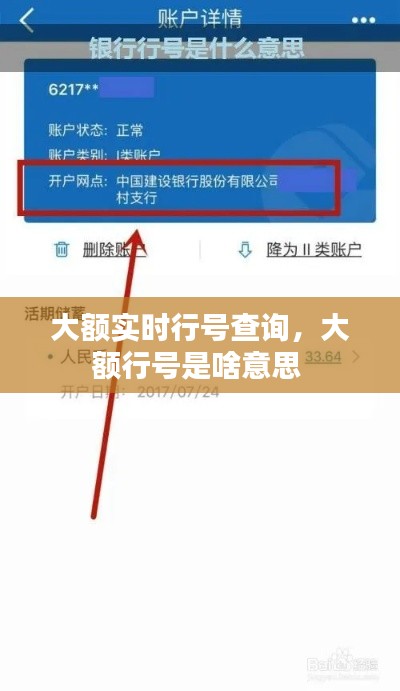 大額實時行號查詢，大額行號是啥意思 