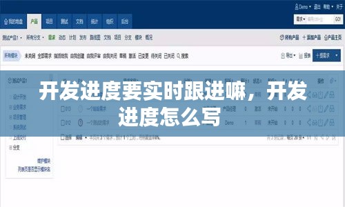 開發(fā)進度要實時跟進嘛，開發(fā)進度怎么寫 