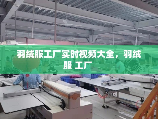羽絨服工廠實時視頻大全，羽絨服 工廠 