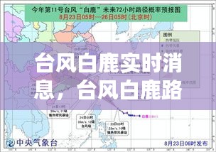 臺(tái)風(fēng)白鹿實(shí)時(shí)消息，臺(tái)風(fēng)白鹿路徑圖 