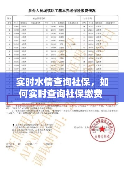 實(shí)時(shí)水情查詢社保，如何實(shí)時(shí)查詢社保繳費(fèi) 