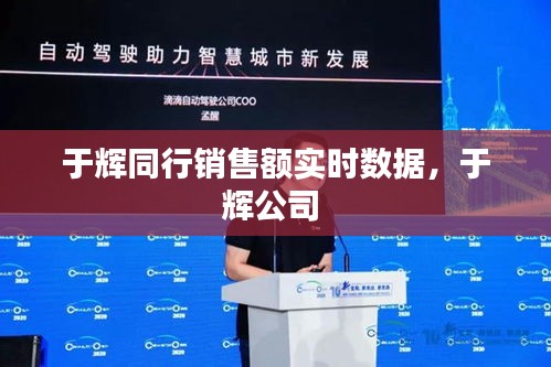 于輝同行銷售額實(shí)時(shí)數(shù)據(jù)，于輝公司 