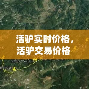 活驢實(shí)時價格，活驢交易價格 