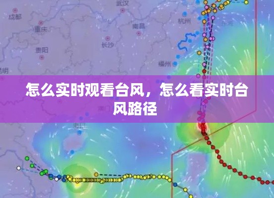 怎么實時觀看臺風(fēng)，怎么看實時臺風(fēng)路徑 