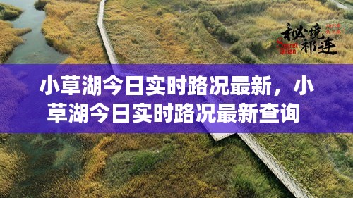 小草湖今日實時路況最新，小草湖今日實時路況最新查詢 