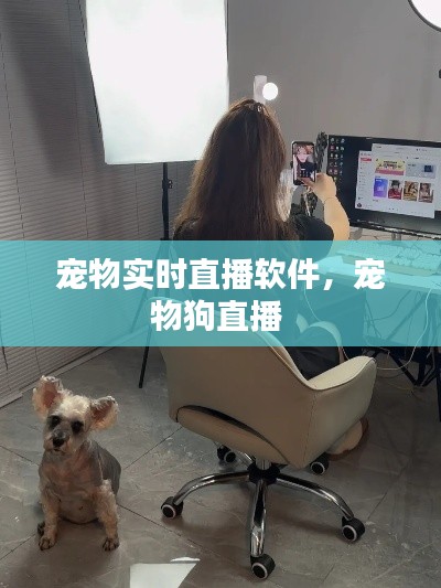 寵物實時直播軟件，寵物狗直播 