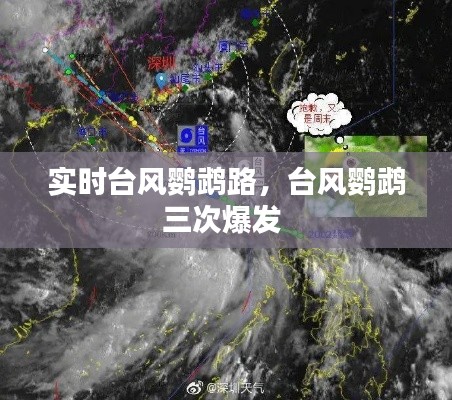 實(shí)時(shí)臺(tái)風(fēng)鸚鵡路，臺(tái)風(fēng)鸚鵡三次爆發(fā) 