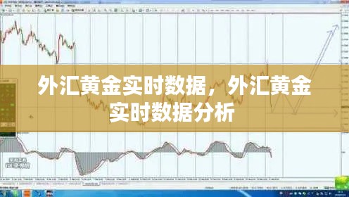 外匯黃金實(shí)時(shí)數(shù)據(jù)，外匯黃金實(shí)時(shí)數(shù)據(jù)分析 