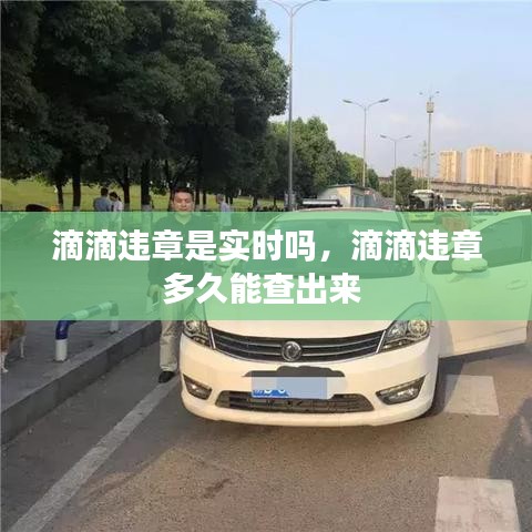 公司簡介 第137頁