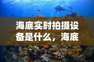 海底實(shí)時(shí)拍攝設(shè)備是什么，海底攝影hdr 