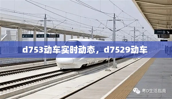 d753動(dòng)車實(shí)時(shí)動(dòng)態(tài)，d7529動(dòng)車 
