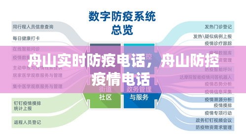 舟山實時防疫電話，舟山防控疫情電話 