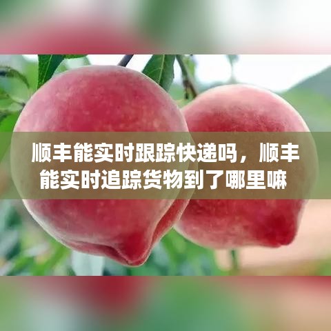順豐能實時跟蹤快遞嗎，順豐能實時追蹤貨物到了哪里嘛 