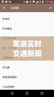 蕪湖實時交通新聞，蕪湖交通app官方下載 