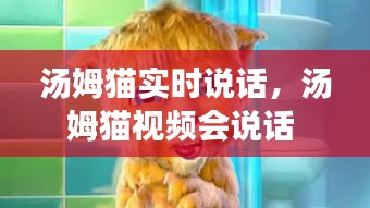 湯姆貓實(shí)時(shí)說話，湯姆貓視頻會說話 