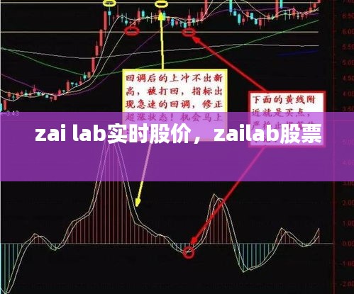 zai lab實(shí)時(shí)股價(jià)，zailab股票 
