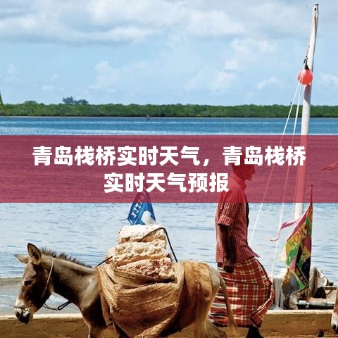 青島棧橋?qū)崟r天氣，青島棧橋?qū)崟r天氣預(yù)報 