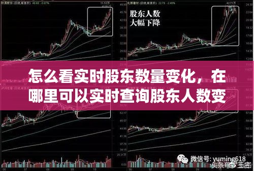 怎么看實(shí)時(shí)股東數(shù)量變化，在哪里可以實(shí)時(shí)查詢股東人數(shù)變化 