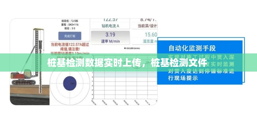 樁基檢測(cè)數(shù)據(jù)實(shí)時(shí)上傳，樁基檢測(cè)文件 