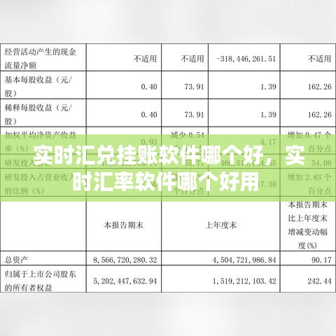實時匯兌掛賬軟件哪個好，實時匯率軟件哪個好用 
