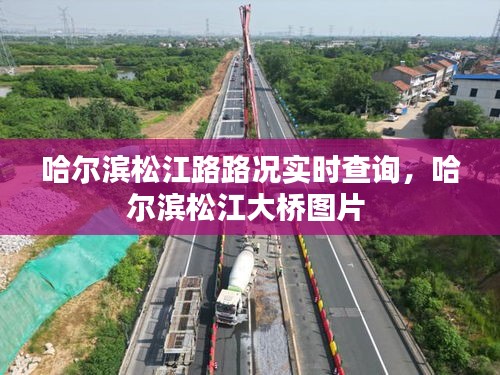 哈爾濱松江路路況實(shí)時(shí)查詢，哈爾濱松江大橋圖片 