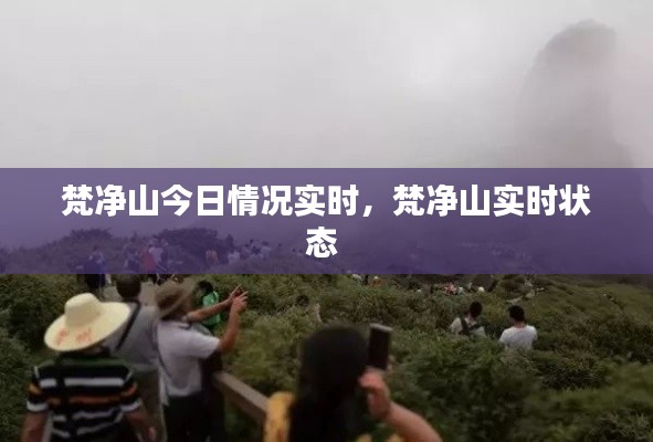 梵凈山今日情況實(shí)時(shí)，梵凈山實(shí)時(shí)狀態(tài) 