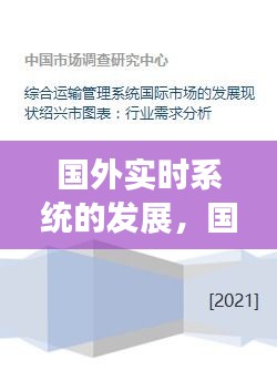 國外實(shí)時(shí)系統(tǒng)的發(fā)展，國外信息系統(tǒng)現(xiàn)狀 