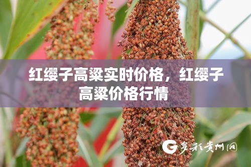 心曠神怡 第3頁(yè)