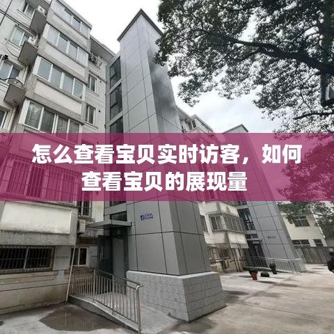 怎么查看寶貝實(shí)時(shí)訪客，如何查看寶貝的展現(xiàn)量 