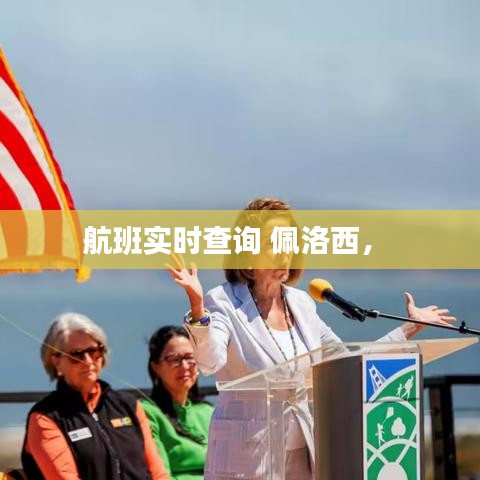 航班實(shí)時查詢 佩洛西， 