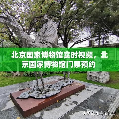 北京國(guó)家博物館實(shí)時(shí)視頻，北京國(guó)家博物館門票預(yù)約 
