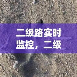 二級(jí)路實(shí)時(shí)監(jiān)控，二級(jí)公路攝像頭拍違法嗎 