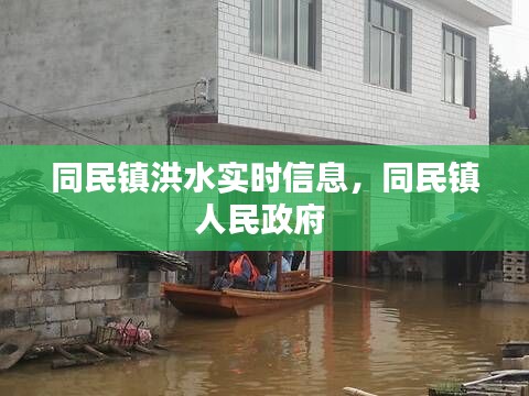 同民鎮(zhèn)洪水實時信息，同民鎮(zhèn)人民政府 
