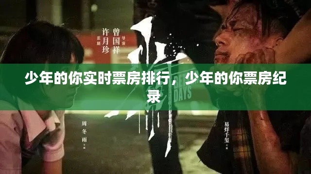 少年的你實時票房排行，少年的你票房紀錄 