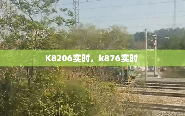 K8206實(shí)時(shí)，k876實(shí)時(shí) 