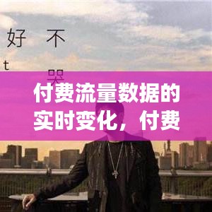 付費(fèi)流量數(shù)據(jù)的實(shí)時變化，付費(fèi)流量分析 