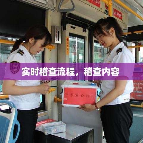 實時稽查流程，稽查內(nèi)容 
