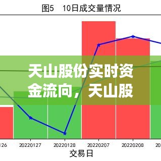 天山股份實(shí)時(shí)資金流向，天山股份2021年股票會好轉(zhuǎn)嗎 
