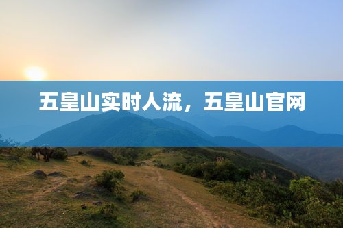 五皇山實(shí)時(shí)人流，五皇山官網(wǎng) 