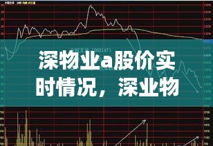 深物業(yè)a股價(jià)實(shí)時(shí)情況，深業(yè)物業(yè)股票 